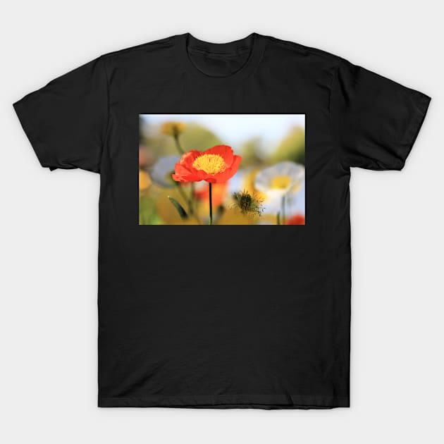 Red Beauty T-Shirt by incredi